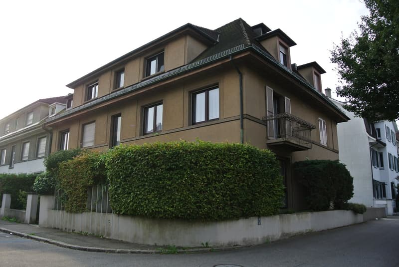 Bella maisonette di 3,5 locali vicino a Birs con vista sul Reno (1)