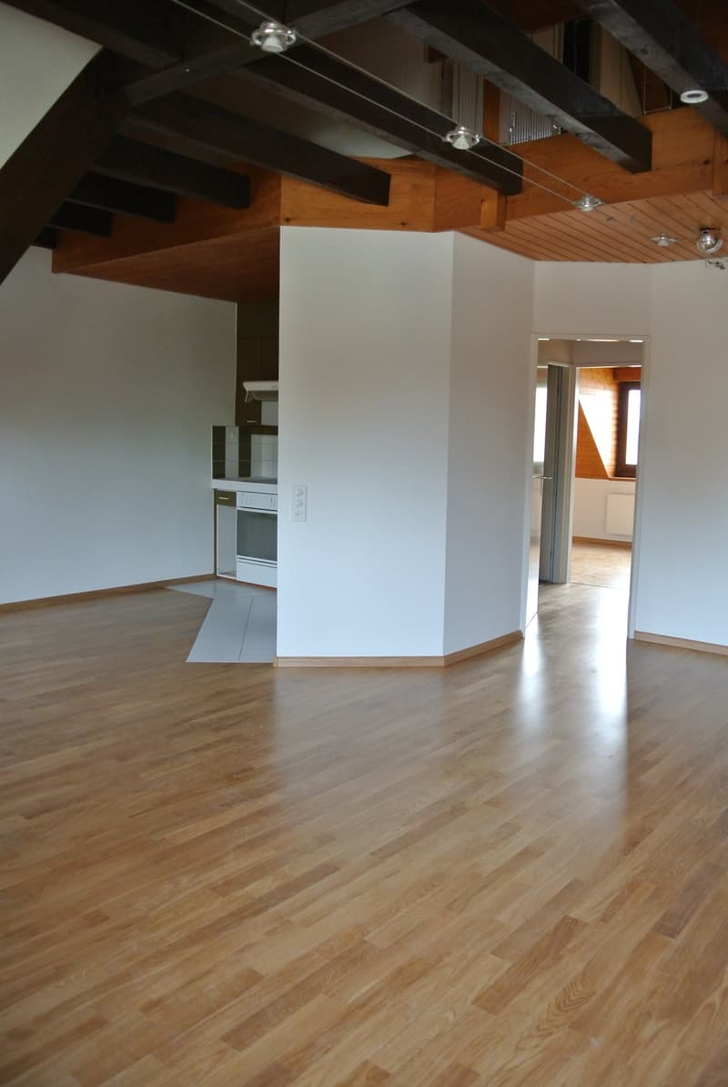 Bella maisonette di 3,5 locali vicino a Birs con vista sul Reno (3)