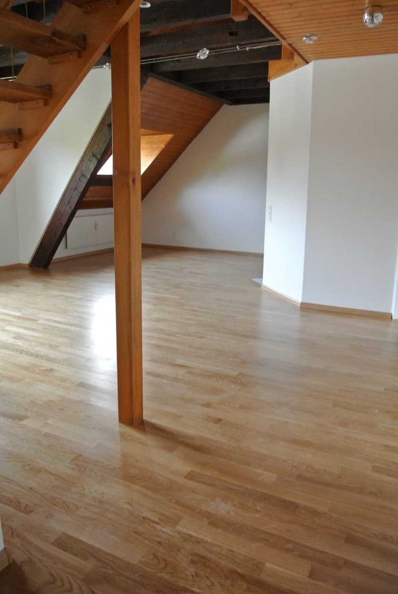 Bella maisonette di 3,5 locali vicino a Birs con vista sul Reno (2)