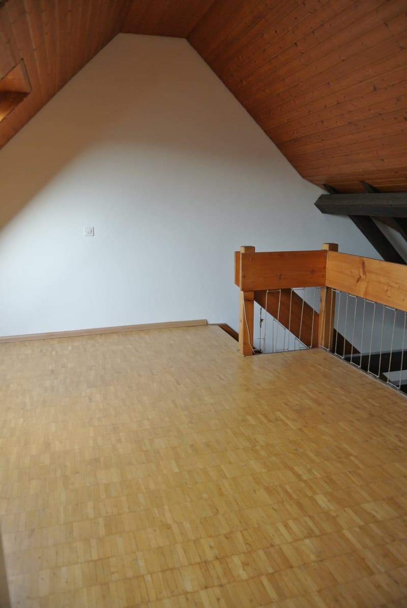 Bella maisonette di 3,5 locali vicino a Birs con vista sul Reno (7)