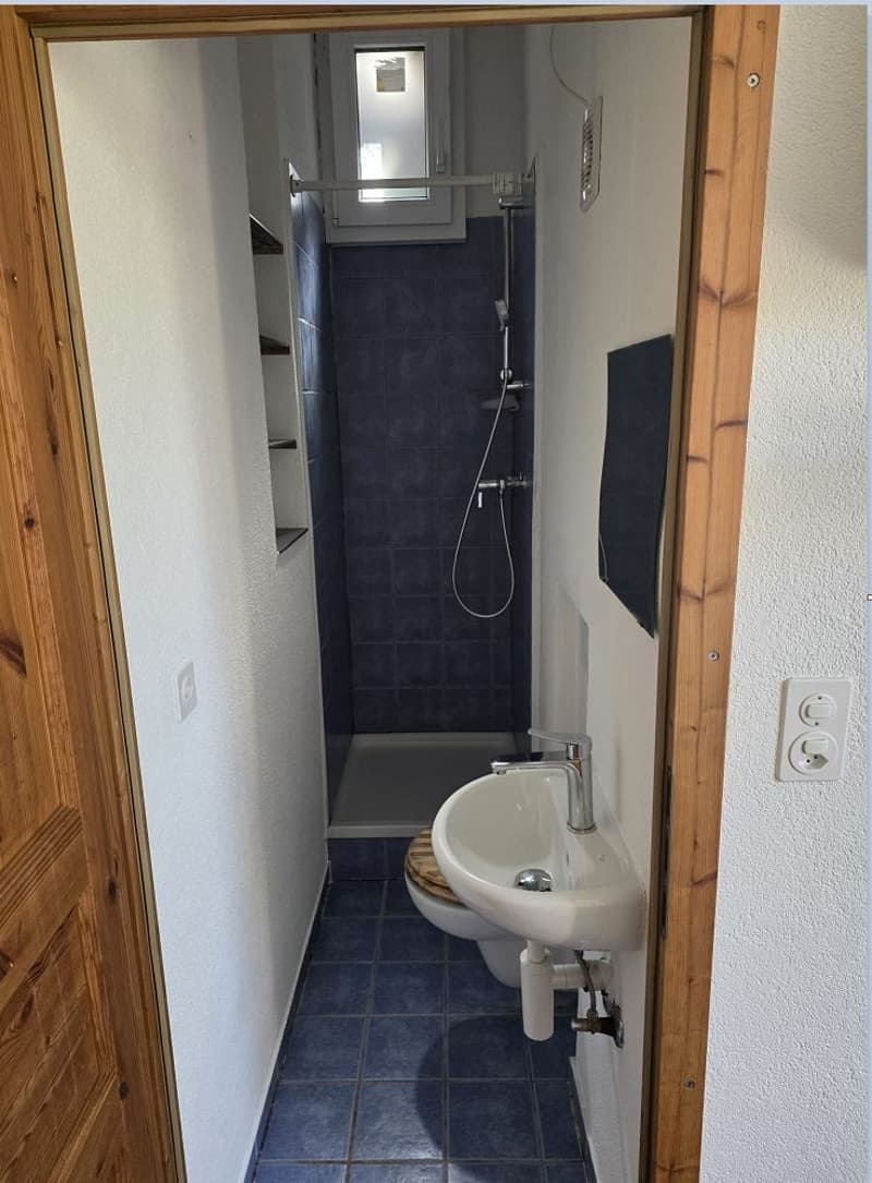 Bello appartamento ristrutturato nella parte inferiore del villaggio di Münchenstein (4)