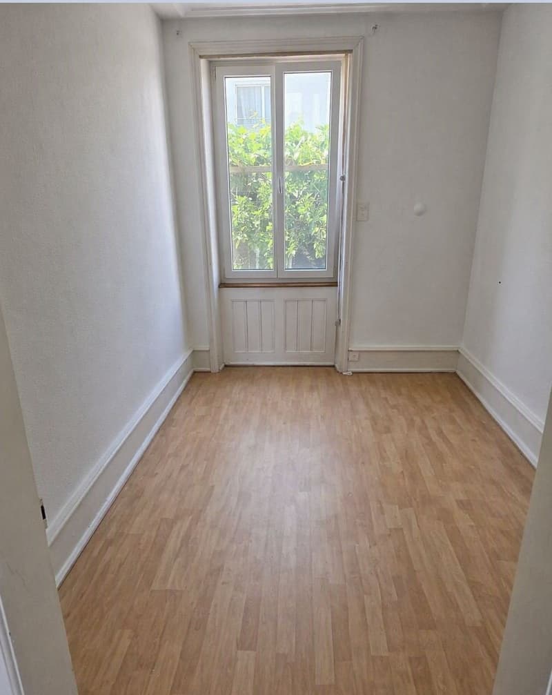 Bello appartamento ristrutturato nella parte inferiore del villaggio di Münchenstein (7)
