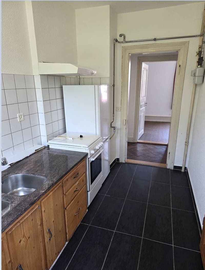Bello appartamento ristrutturato nella parte inferiore del villaggio di Münchenstein (3)