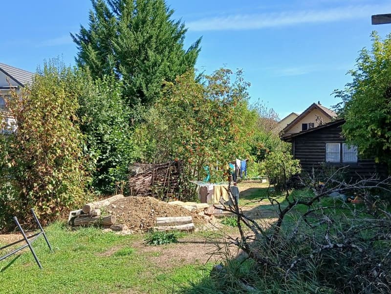 Charmante Dachwohnung im Grünen und beim Naherholungsgebiet (19)