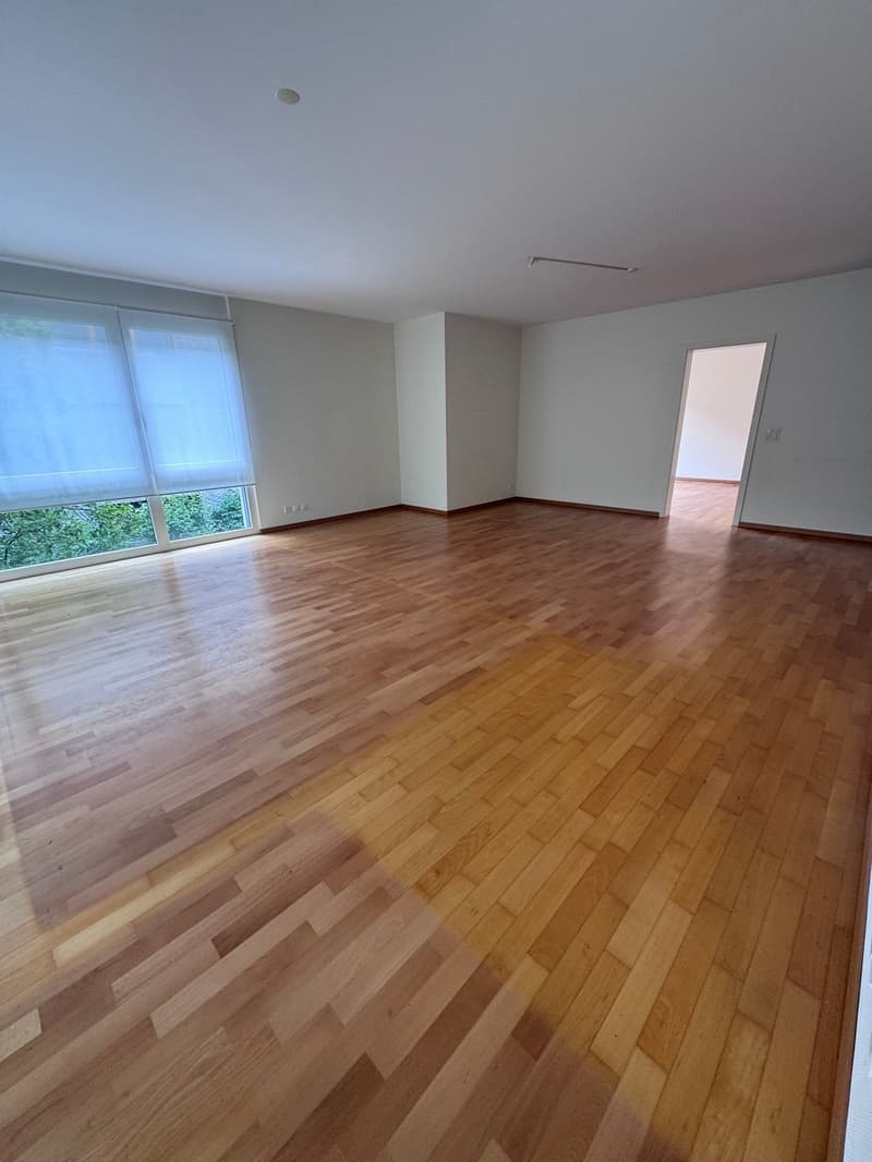 Helle 4.5-Zimmer-Wohnung mit Balkon Nähe Zentrum und Dorf (7)