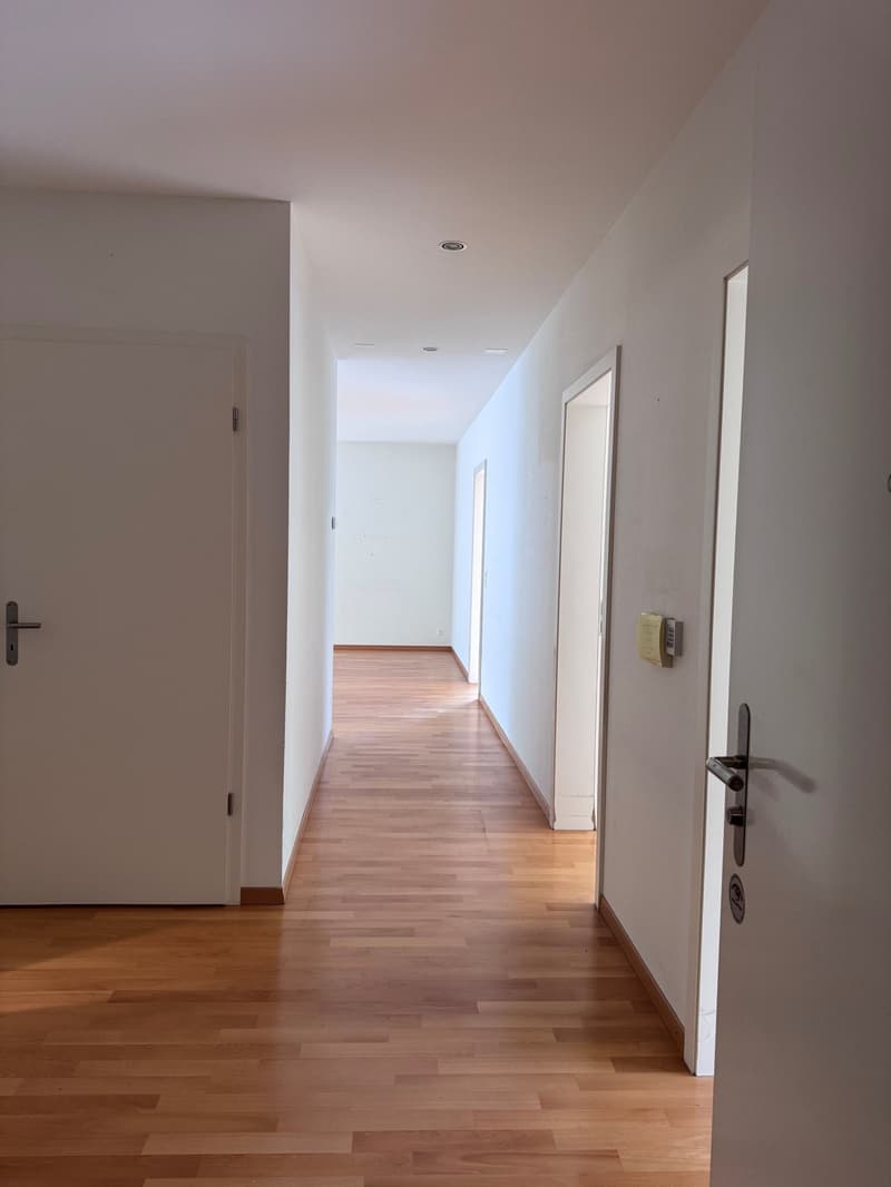 Helle 4.5-Zimmer-Wohnung mit Balkon Nähe Zentrum und Dorf (6)