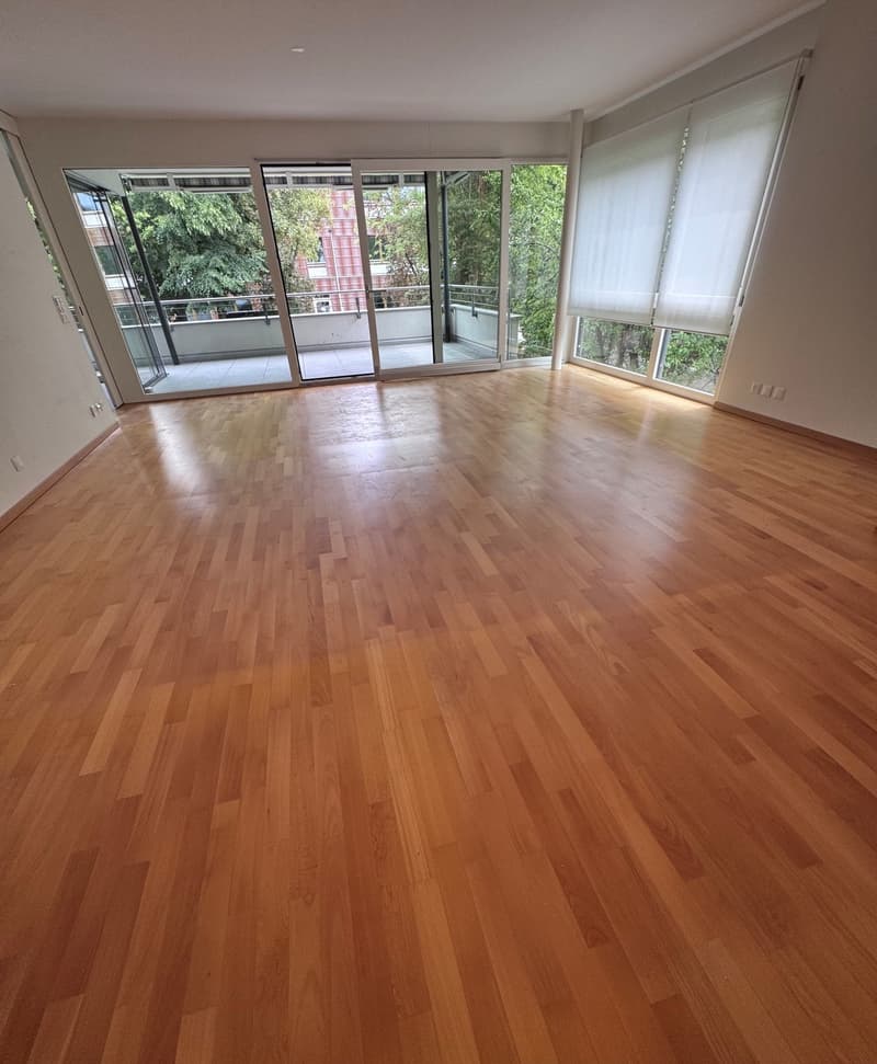 Helle 4.5-Zimmer-Wohnung mit Balkon Nähe Zentrum und Dorf (8)
