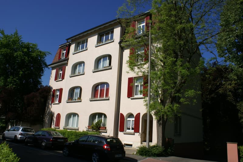 3-Zimmer-Wohnung Nähe Birsköpfli und Zentrum (1)