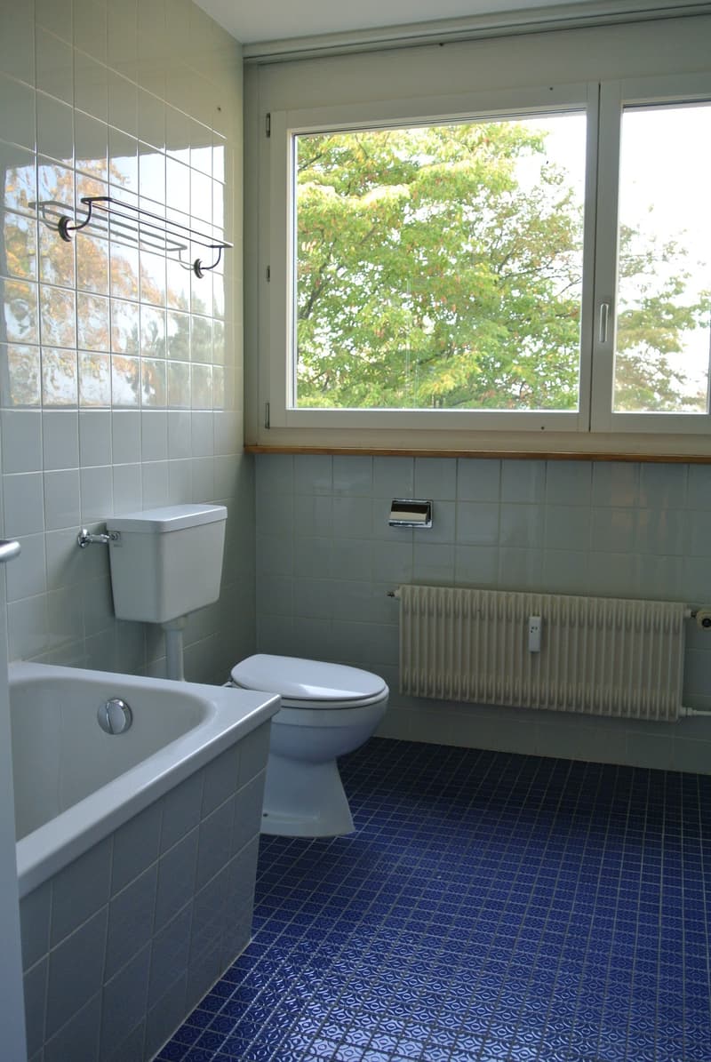 Im Haus "Weisse Taube" Nähe Dorfkern und Naherholungsgebiet (9)