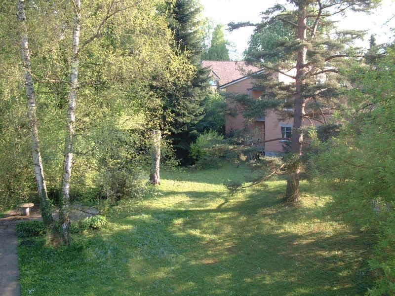 Sicht vom Wohnzimmer in den Garten