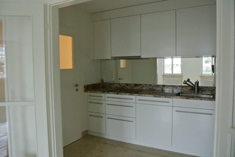 Charmante 2-Zimmer-Wohnung direkt am Rhein (4)