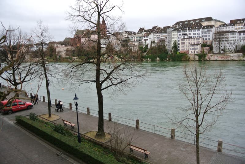 Charmante 2-Zimmer-Wohnung direkt am Rhein (2)