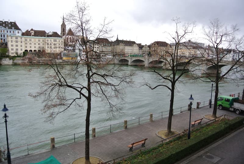 Charmante 2-Zimmer-Wohnung direkt am Rhein (1)
