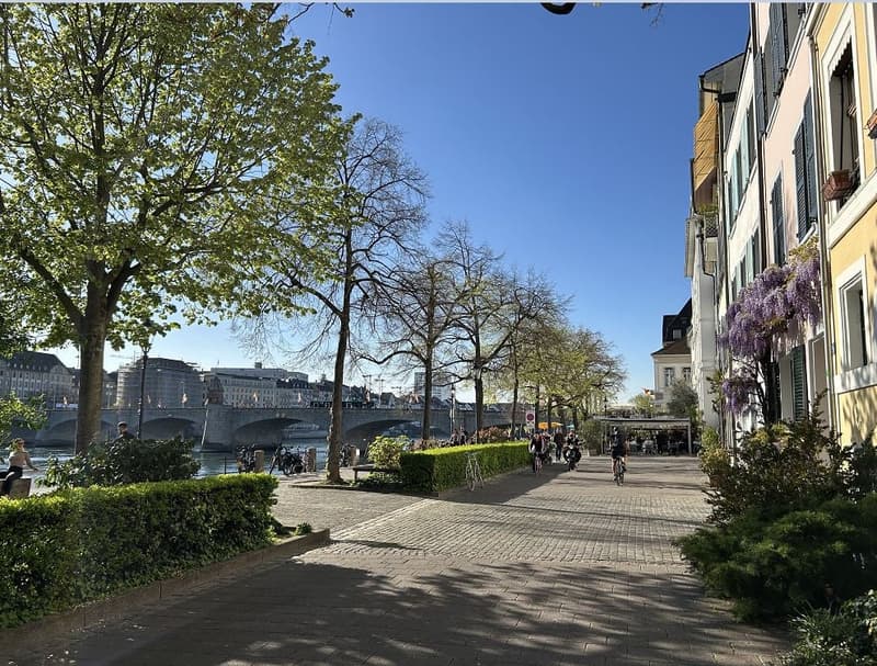 Exklusives Wohnen direkt am Rhein mit Blick auf die historische Altstadt (4)