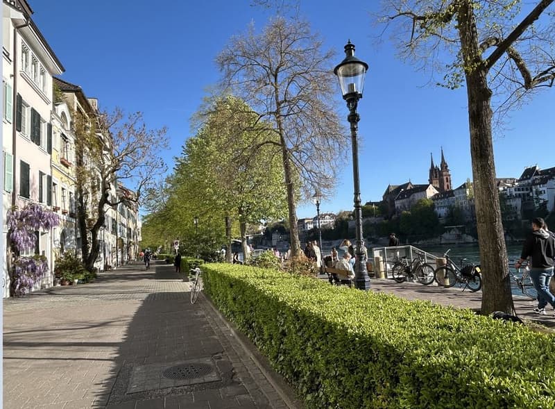 Exklusives Wohnen direkt am Rhein mit Blick auf die historische Altstadt (3)