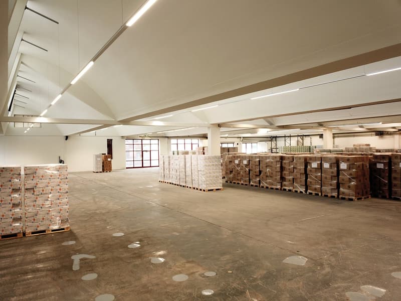 Spazio commerciale e di stoccaggio versatile in una posizione centrale a Zofingen (3)