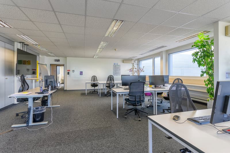 office desks, chairs, computers, trash can, plants, windows