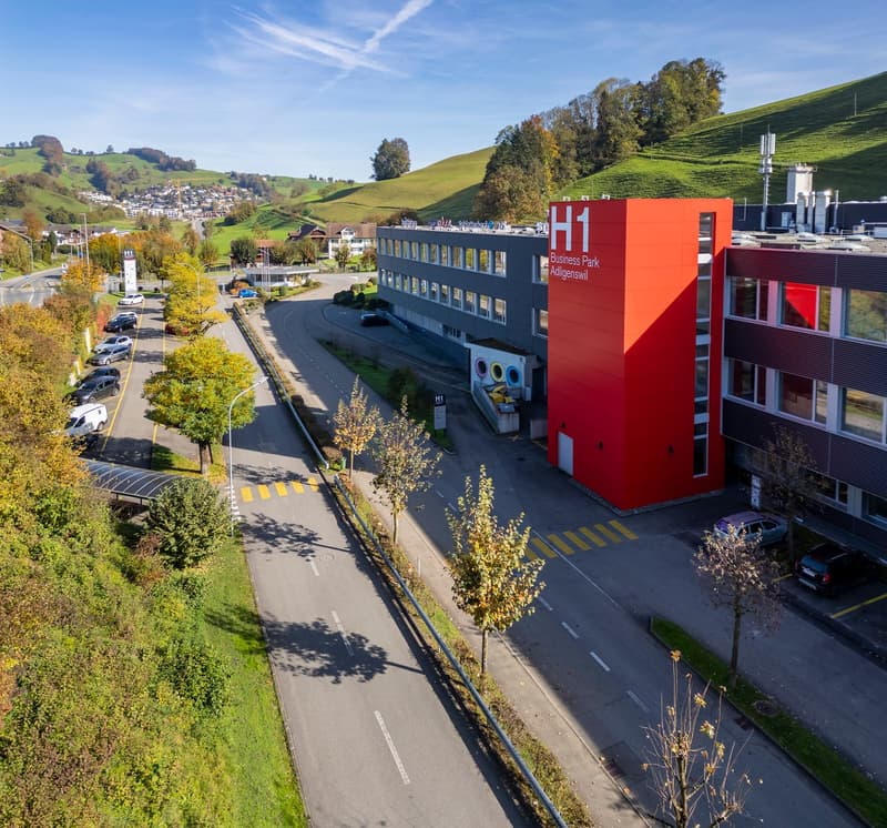 Industrial building, H1 Business Park, red exterior, multiple cars parked, lush surroundings