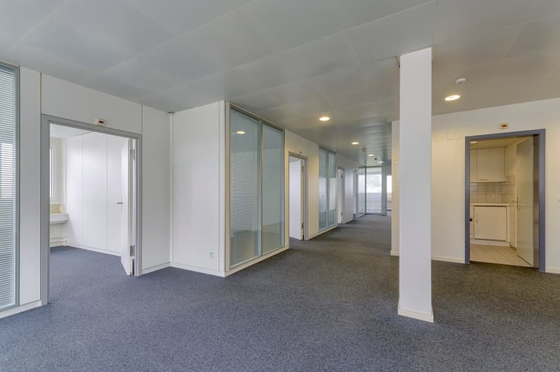 Empty hallway with white walls and glass doors, carpeted floor, ceiling lights, office-like setting