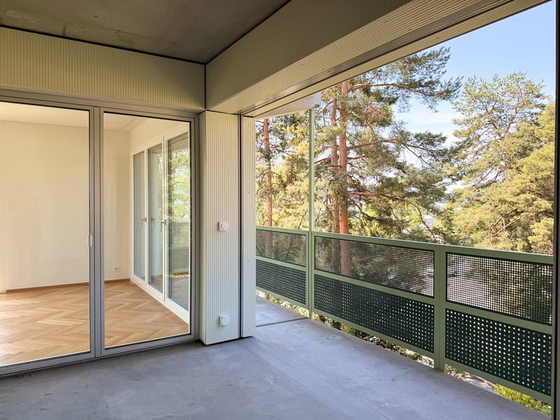 Wohnen mit Stil und Ausblick – 3.5-Zimmerwohnung an beliebter Lage in Zürich (4)