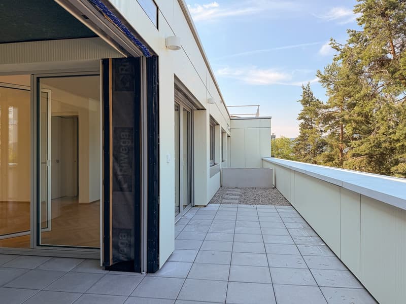 Wohnen mit Stil und Ausblick – 3.5-Zimmerwohnung an beliebter Lage in Zürich (4)