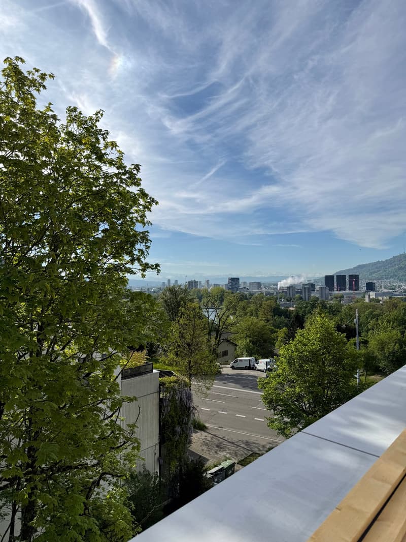 Wohnen mit Stil und Ausblick – 3.5-Zimmerwohnung an beliebter Lage in Zürich (2)