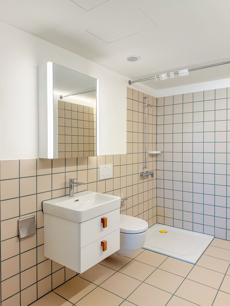 Wohnen mit Stil und Ausblick – 2.5-Zimmerwohnung an beliebter Lage in Zürich (10)