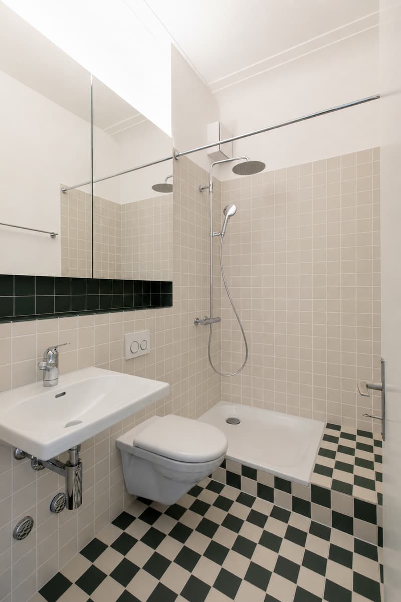 Bright 5.5 room apartment in central location (10)