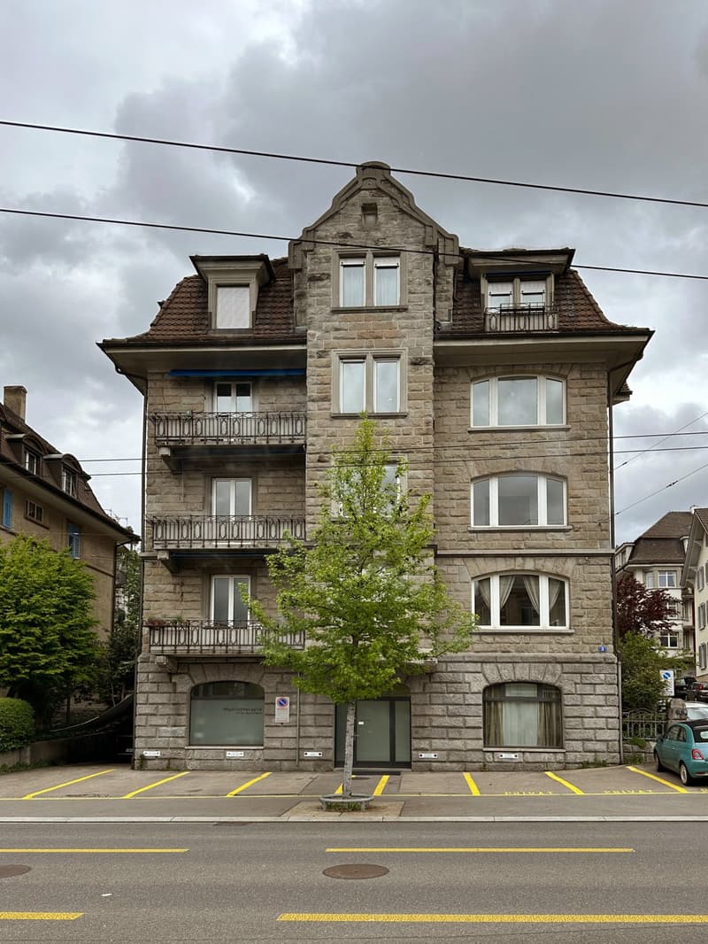 Bright 5.5 room apartment in central location (1)