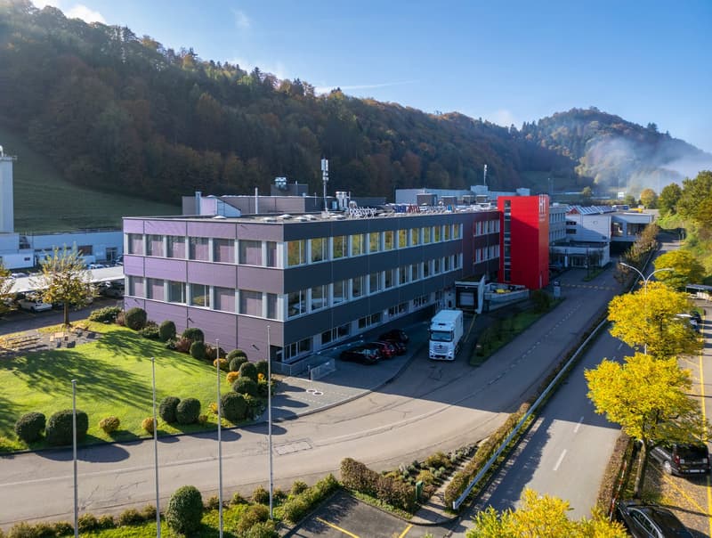 Attraktive Büro-/Gewerbe sowie Lagerflächen an gut erschlossener Lage in der Nähe von Luzern (4)