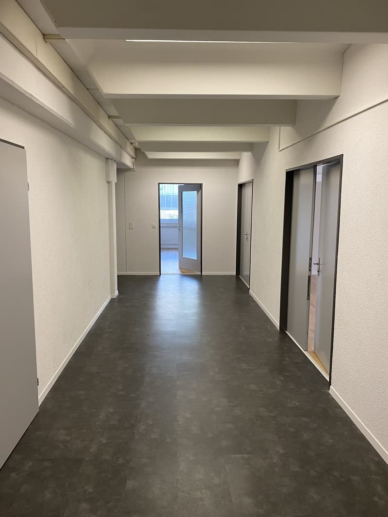 Vielseitige Büro- und Gewerbefläche im Erdgeschoss in Dällikon (2)