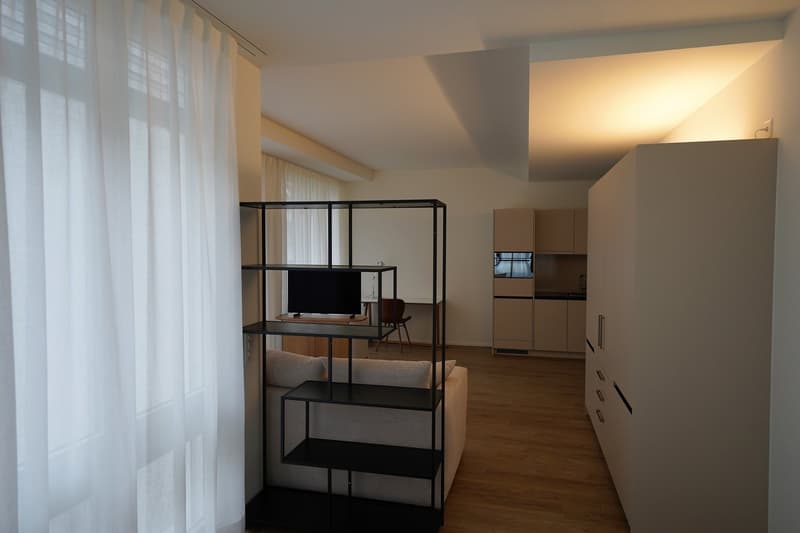 Möblierte 1.5-Zimmer-Wohnung in Zürich Hottingen (4)
