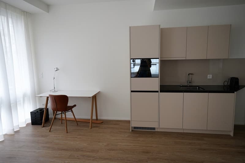 Möblierte 1.5-Zimmer-Wohnung in Zürich Hottingen (6)