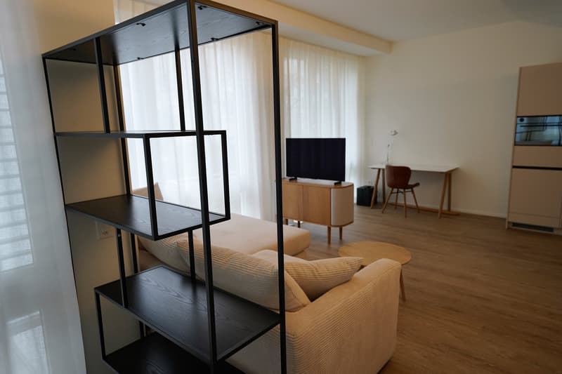 Möblierte 1.5-Zimmer-Wohnung in Zürich Hottingen (3)
