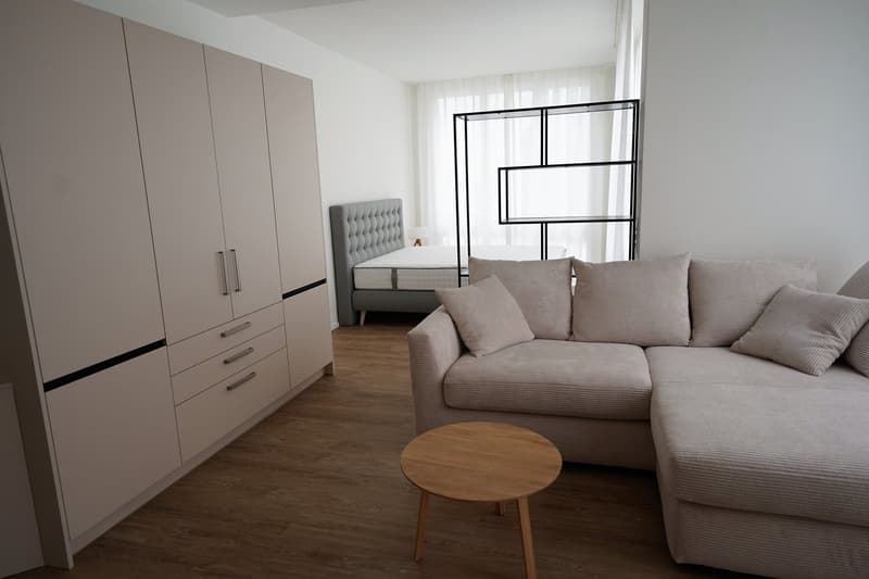 Möblierte 1.5-Zimmer-Wohnung in Zürich Hottingen (1)