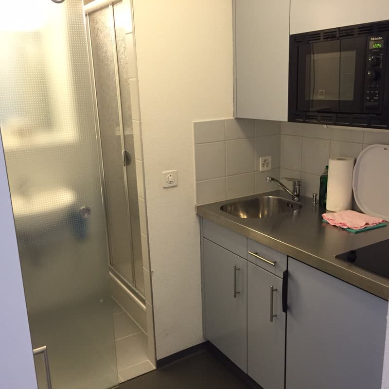 Studio (möbiliert) beim Central zu vermieten (2)