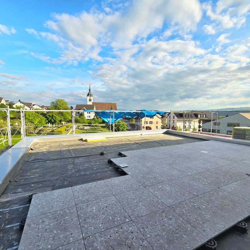 Erstvermietung: Einzigartige Attikawohnung mit Aussicht über das Reusstal (11)