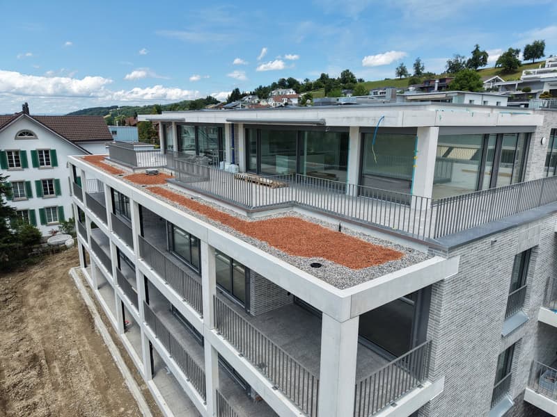 Erstvermietung: Einzigartige Attikawohnung mit Aussicht über das Reusstal (14)