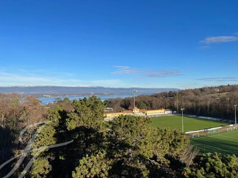 Panoramic view of Cologny (2)