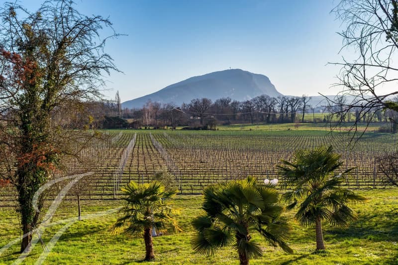 Belle propriété à rénover au cœur de la campagne (3)