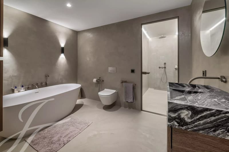 Panoramic view of the lake and contemporary interiors (11)