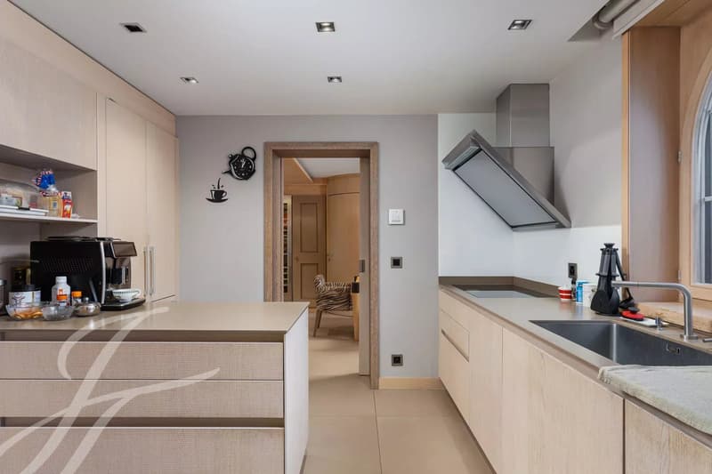 EXCLUSIVE - Luxury and serenity in the heart of Conches (6)