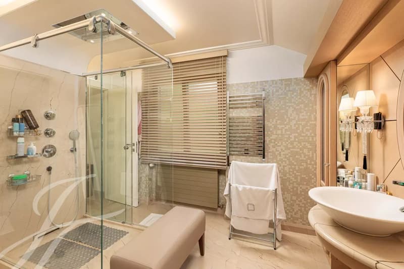EXCLUSIVE - Luxury and serenity in the heart of Conches (9)