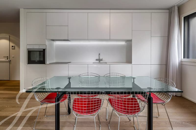 Elegant family apartment with terrace (3)
