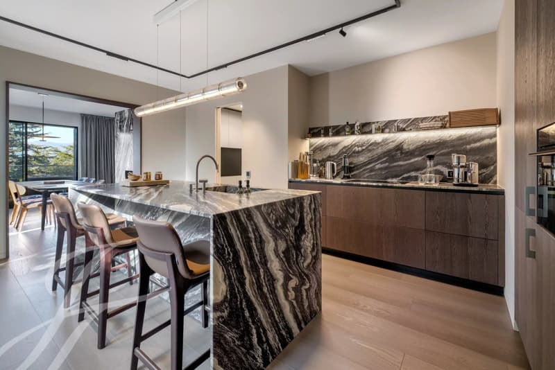 Panoramic view of the lake and contemporary interiors (6)