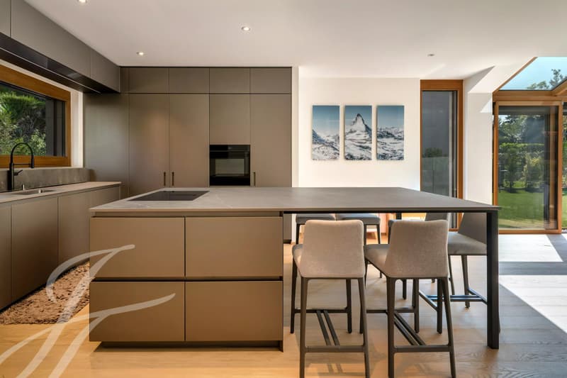 A contemporary detached signature in the heart of Geneva's Left Bank (3)