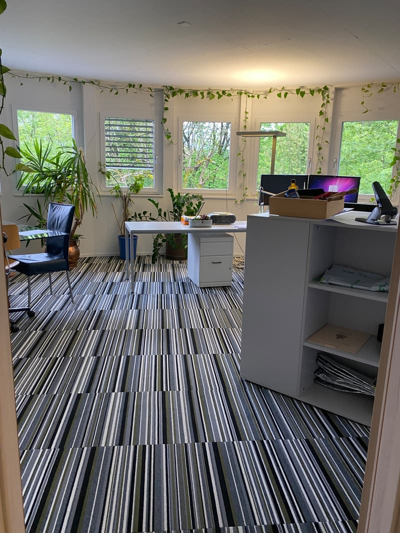 Chailly-sur-Montreux - Route de Brent 13D - a large furnished office (1)