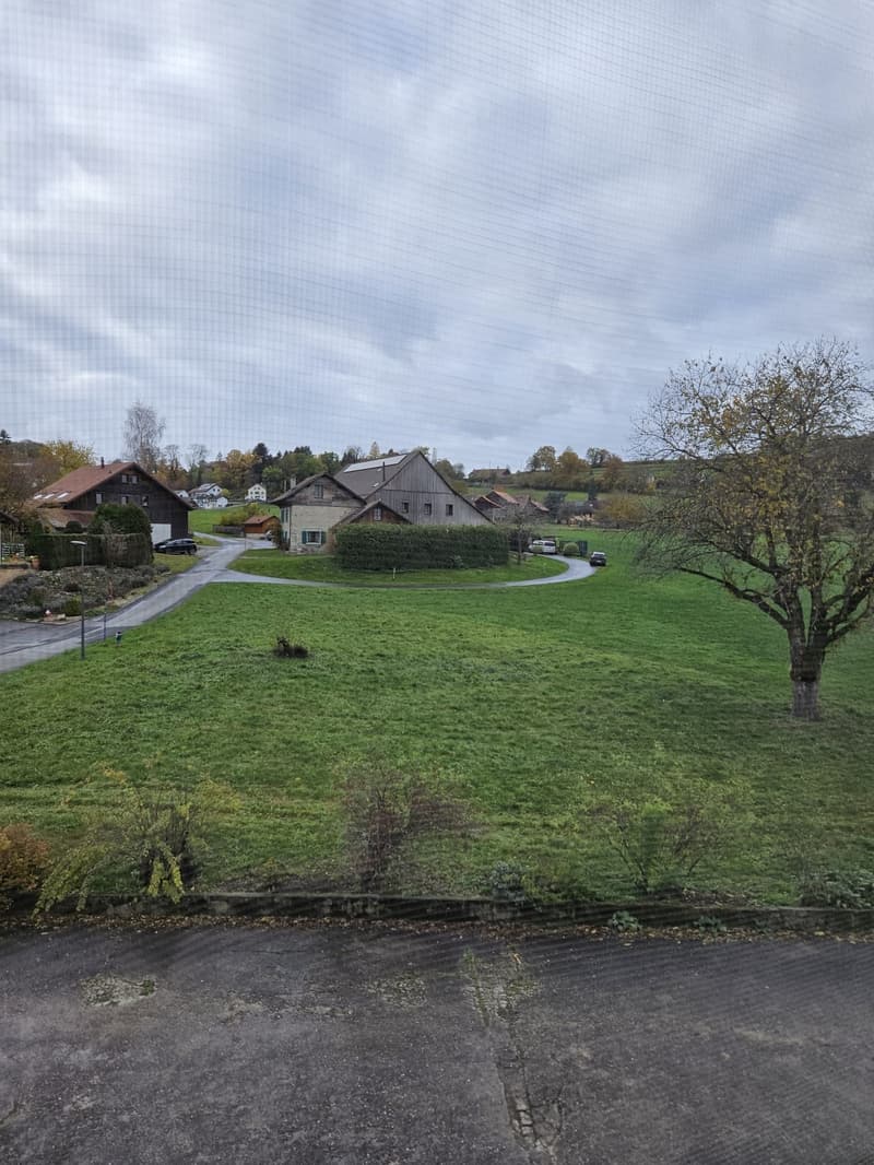 Wohnung mit 3 Zimmern im 2. Stock - Chemin de Montilier 5 - (6)