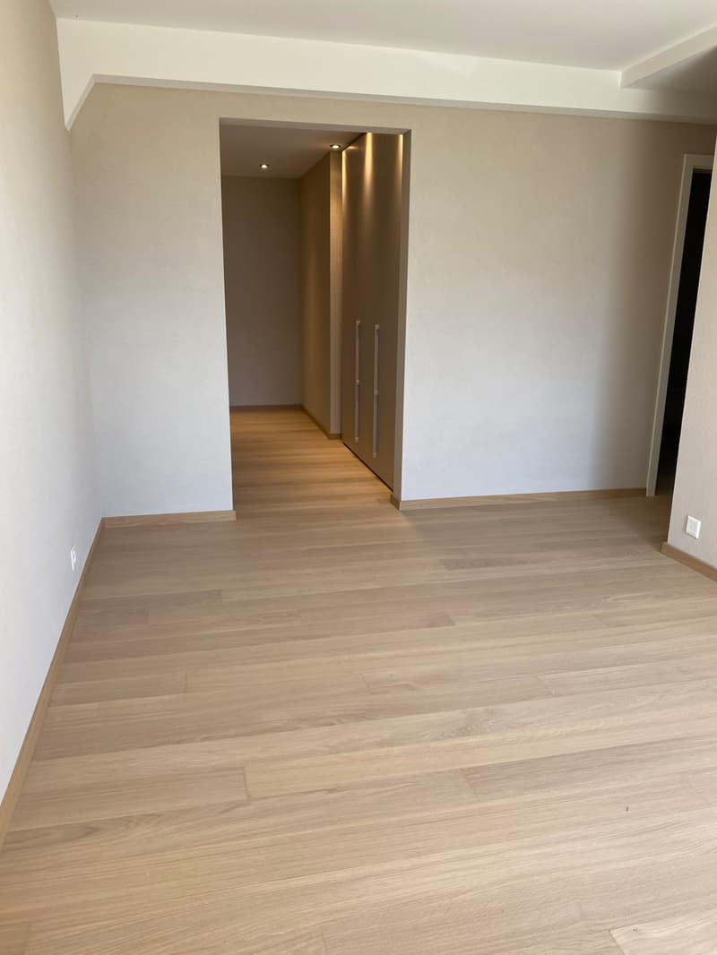 4.5 room apartment on the lower ground floor with garden - Route des (8)