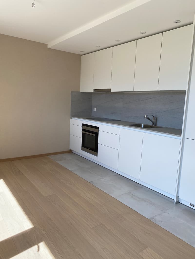 4.5 room apartment on the lower ground floor with garden - Route des (10)